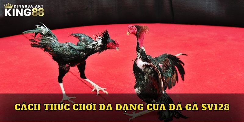 Cách thức chơi đa dạng của đá gà SV128