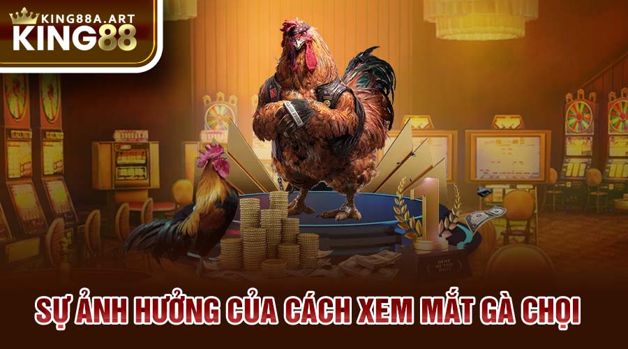 Sự ảnh hưởng của cách xem mắt gà chọi